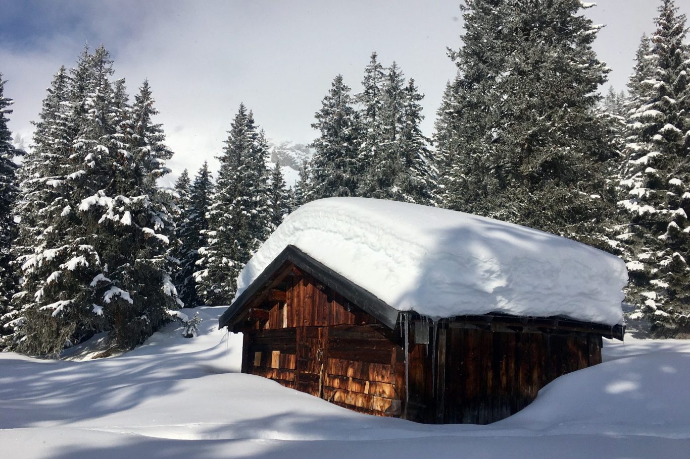 Schneeschuhwanderung in Warth
