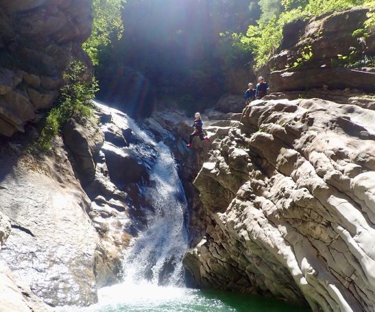 Sprung in der Kobelache